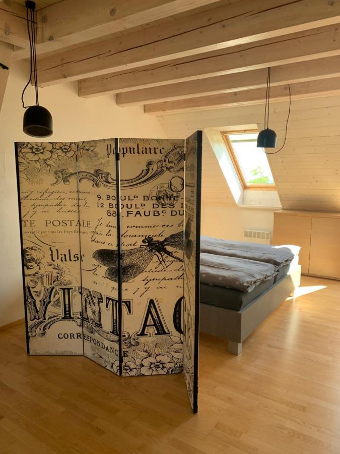 Dovolena Bez Starosti - Apartman U Venuse Pavlov Exterior foto